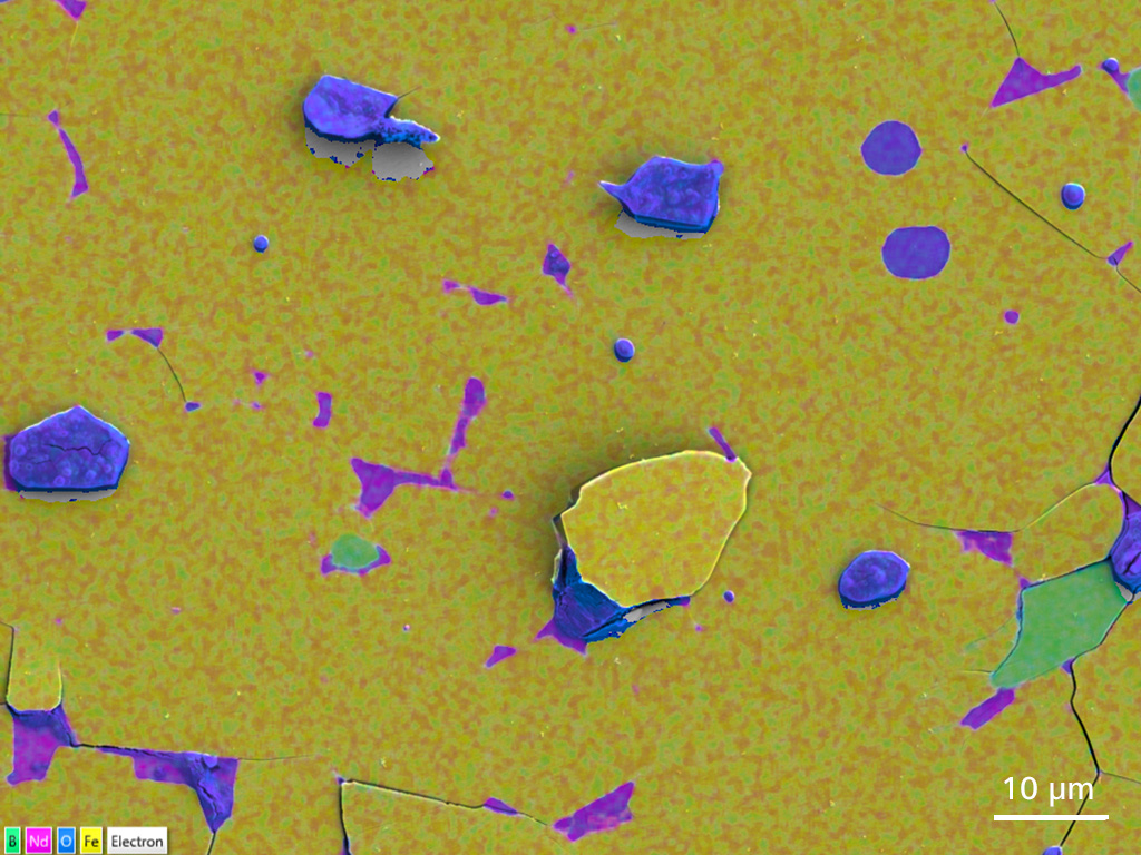 Bruchfläche einer Probe eines entmagnetisierten NdFeB-Magnets, EDX-Mapping. Die Feinverteilung von Bor (grün) lässt sich leicht von Neodym (rosa) unterscheiden. GeminiSEM 460, ringförmiger Rückstreudetektor bei 3 kV ohne Vorspannung. 