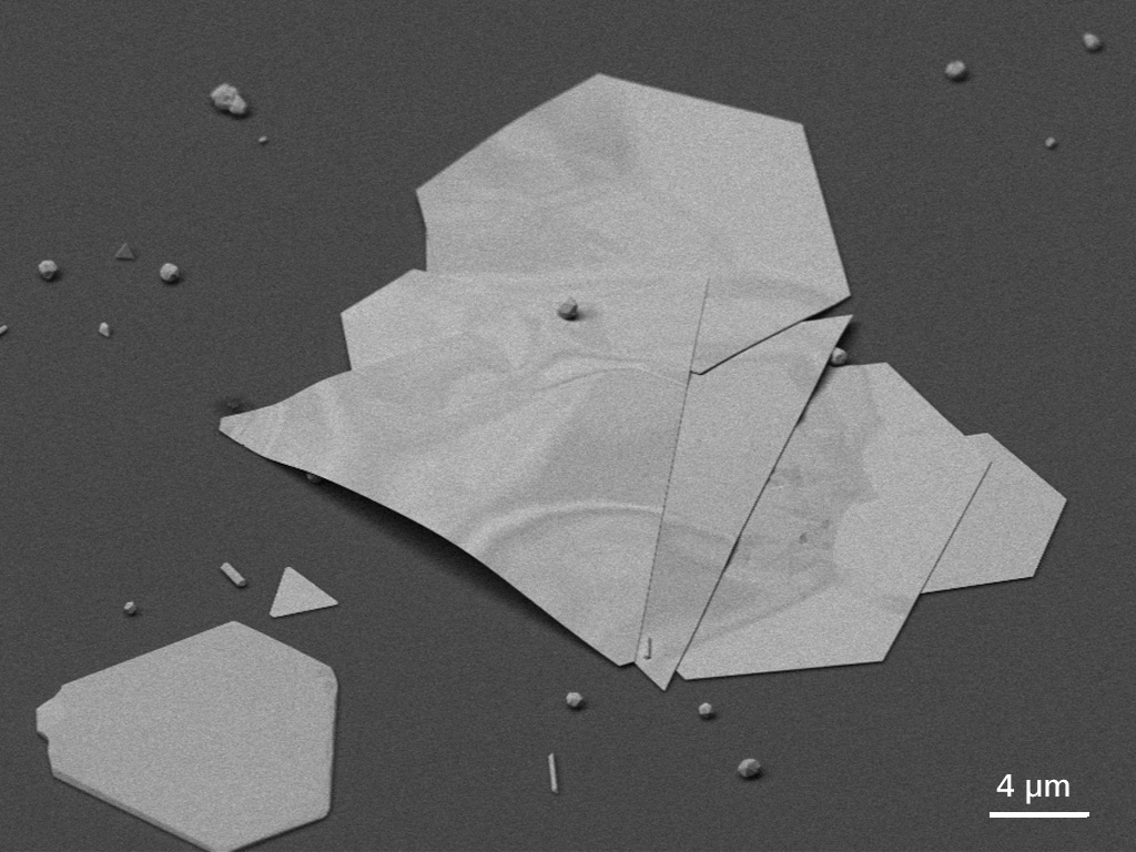 Plaquettes d'or structurées. Dans le cadre de la recherche fondamentale sur les effets plasmoniques. GeminiSEM 560. Sci Adv 3, e1700721, 2017.