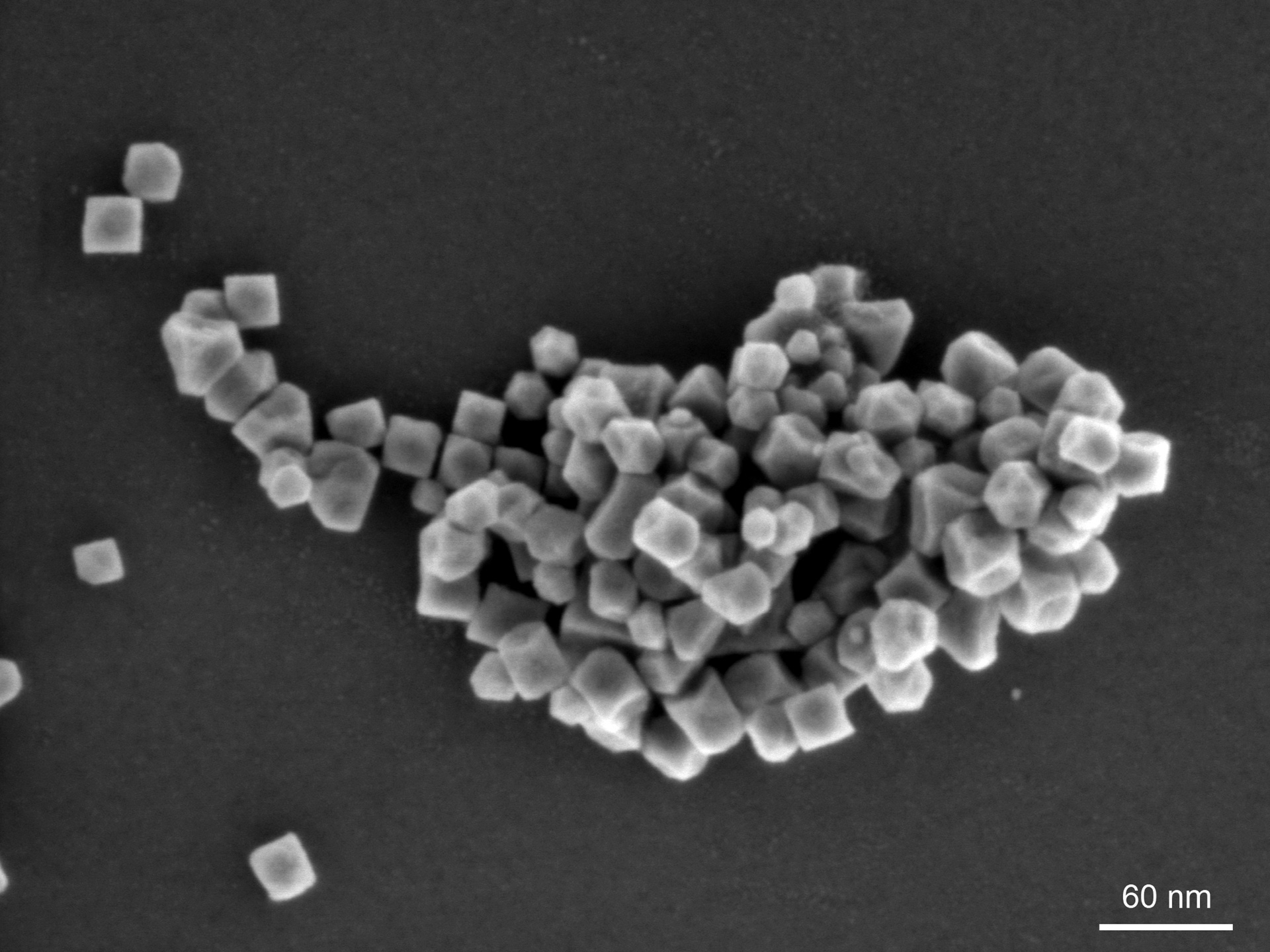 Magnetic FeMn nanoparticles. Edge length of a cube ca. 25 nm. GeminiSEM 560, 1 kV, Inlens SE, field of view 565 nm.