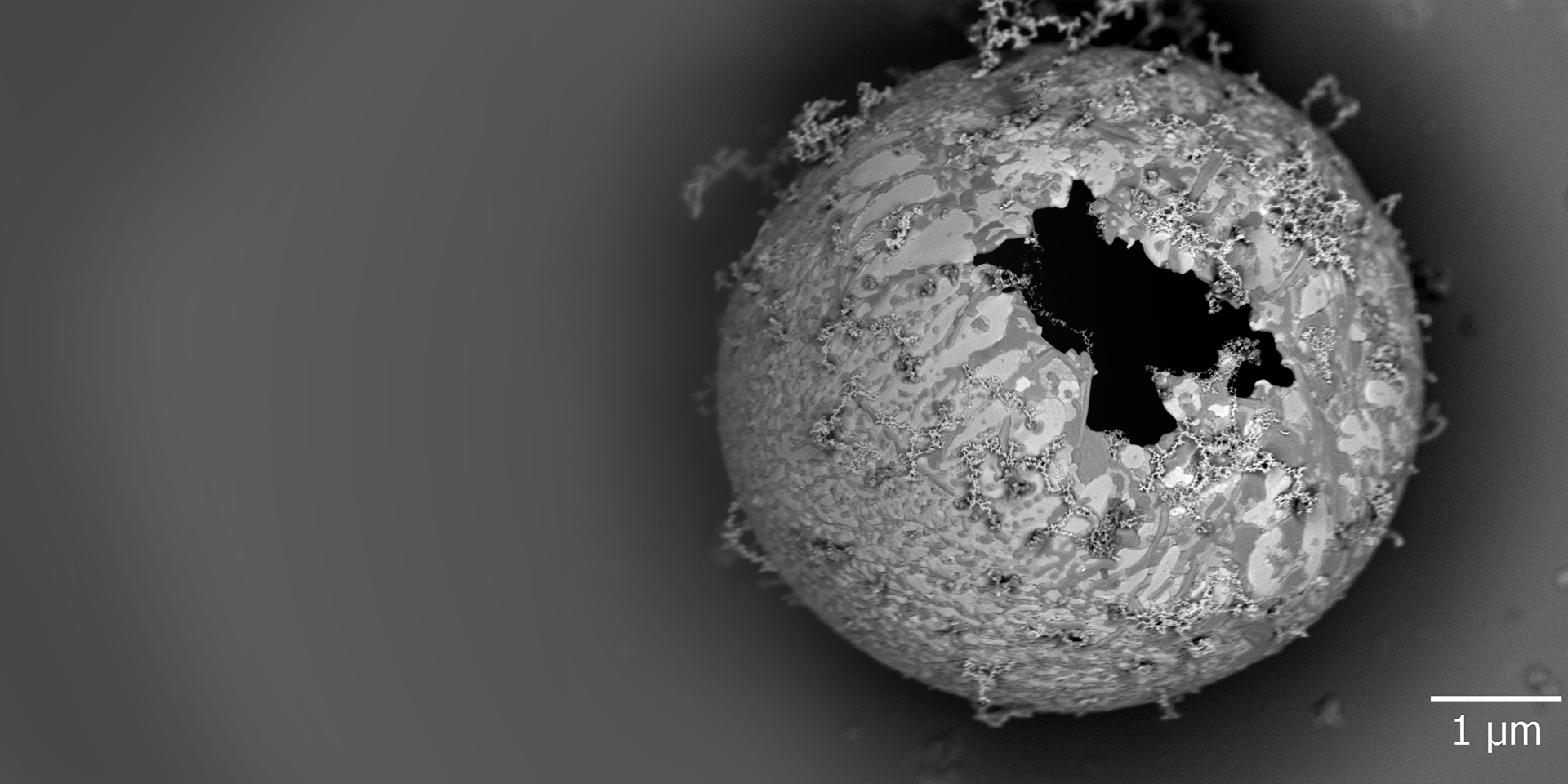 Partícula de ferrocerio, imagen de Inlens EsB.