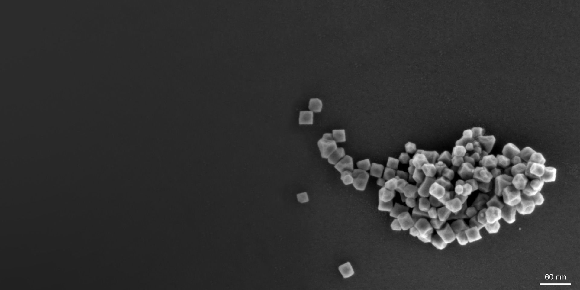 Nanoparticules de FeMn magnétiques, longueur d'une arête d'un cube env. 25 nm. GeminiSEM 560, 1 kV, Inlens SE, champ d'observation 565 nm.​