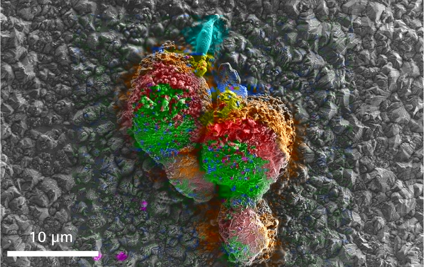 Particles of cathode material of a lithium ion battery, overlay of SEM and Raman 