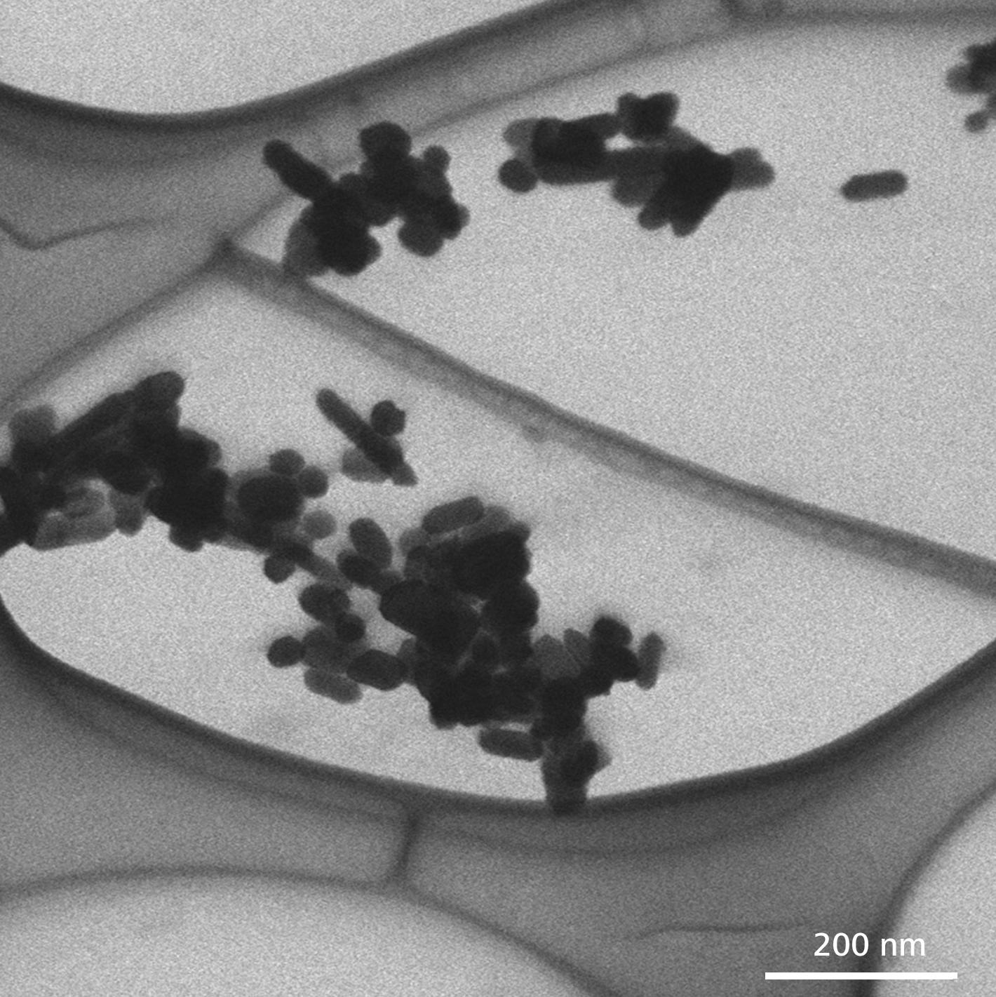 对CeO2纳米颗粒进行三维STEM断层扫描成像。GeminiSEM 560，aSTEM，明场，30 kV。