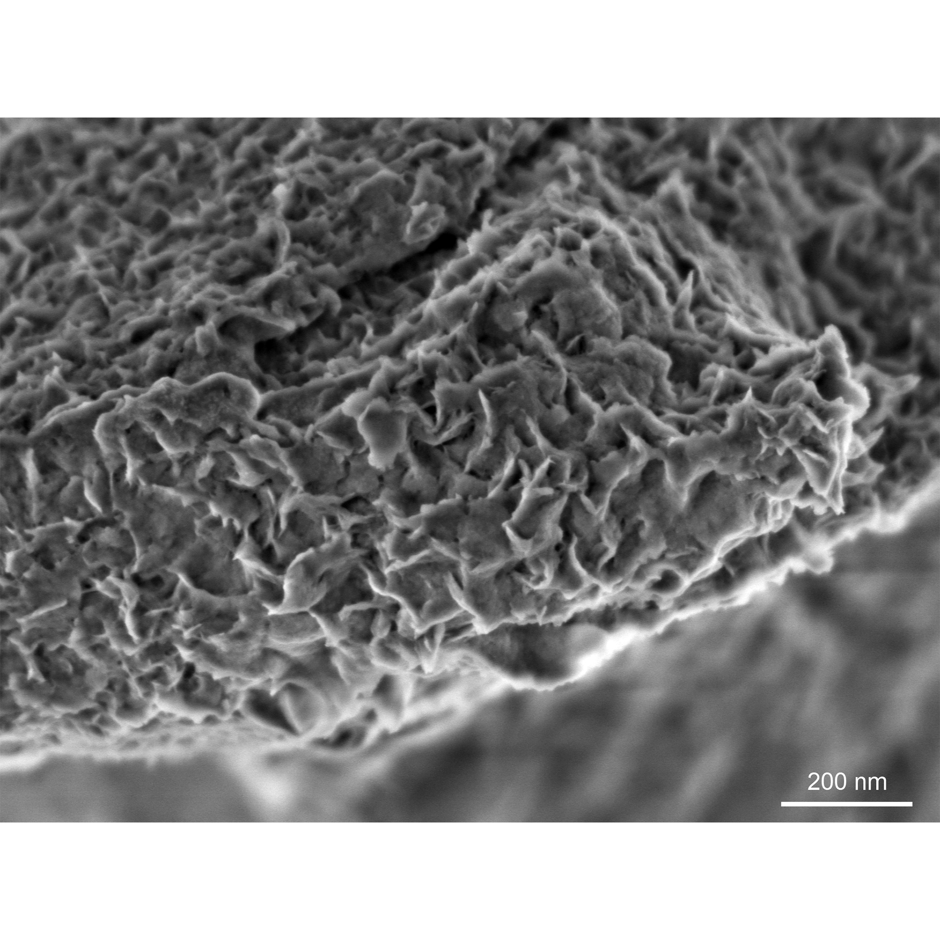 低加速電圧での非導電性鉱物粒子の表面細部：GeminiSEM 560、800 V、Inlens SE。 