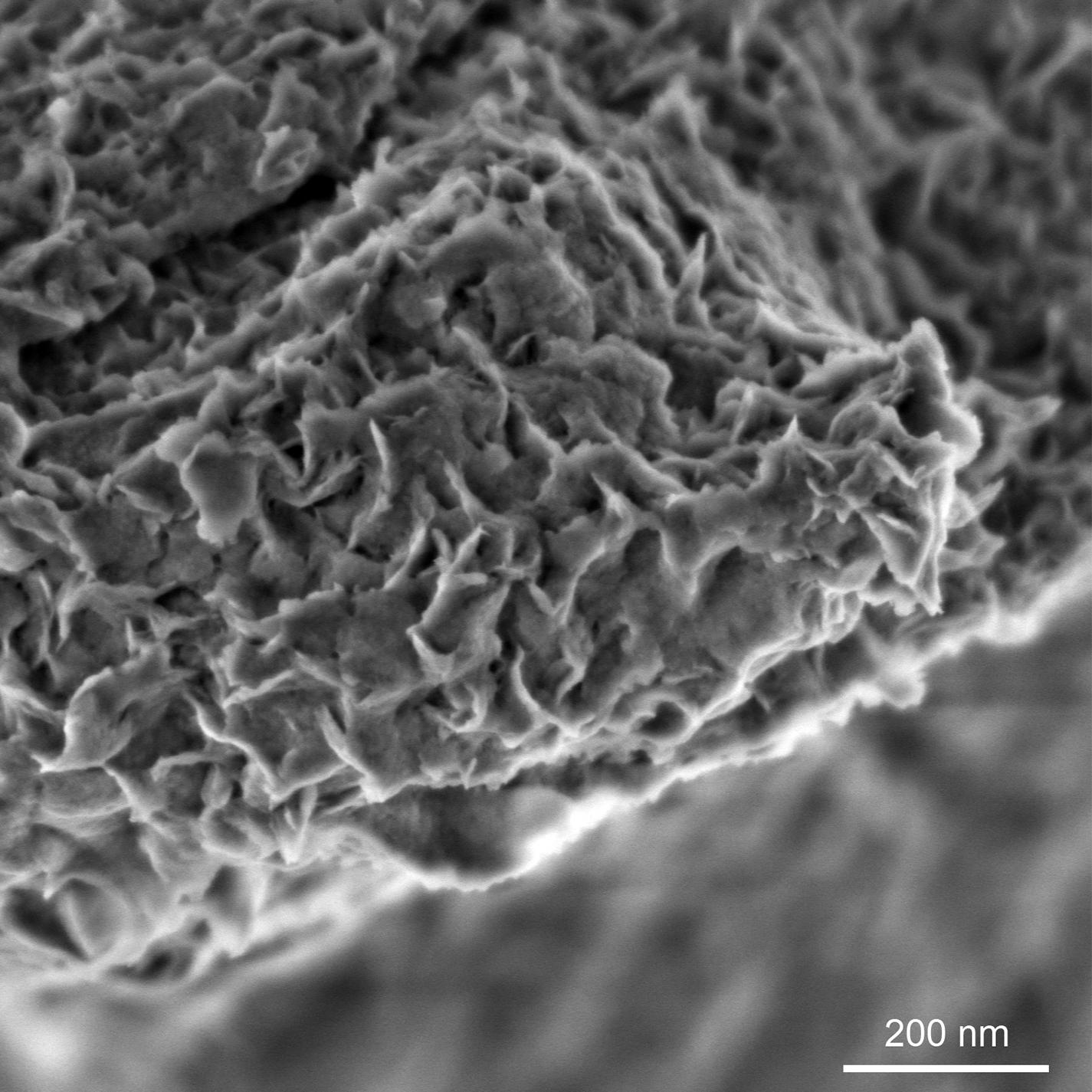 Détails de la surface d'une particule minérale non conductrice à faible kV : GeminiSEM 560 à 800 V, Inlens SE.​