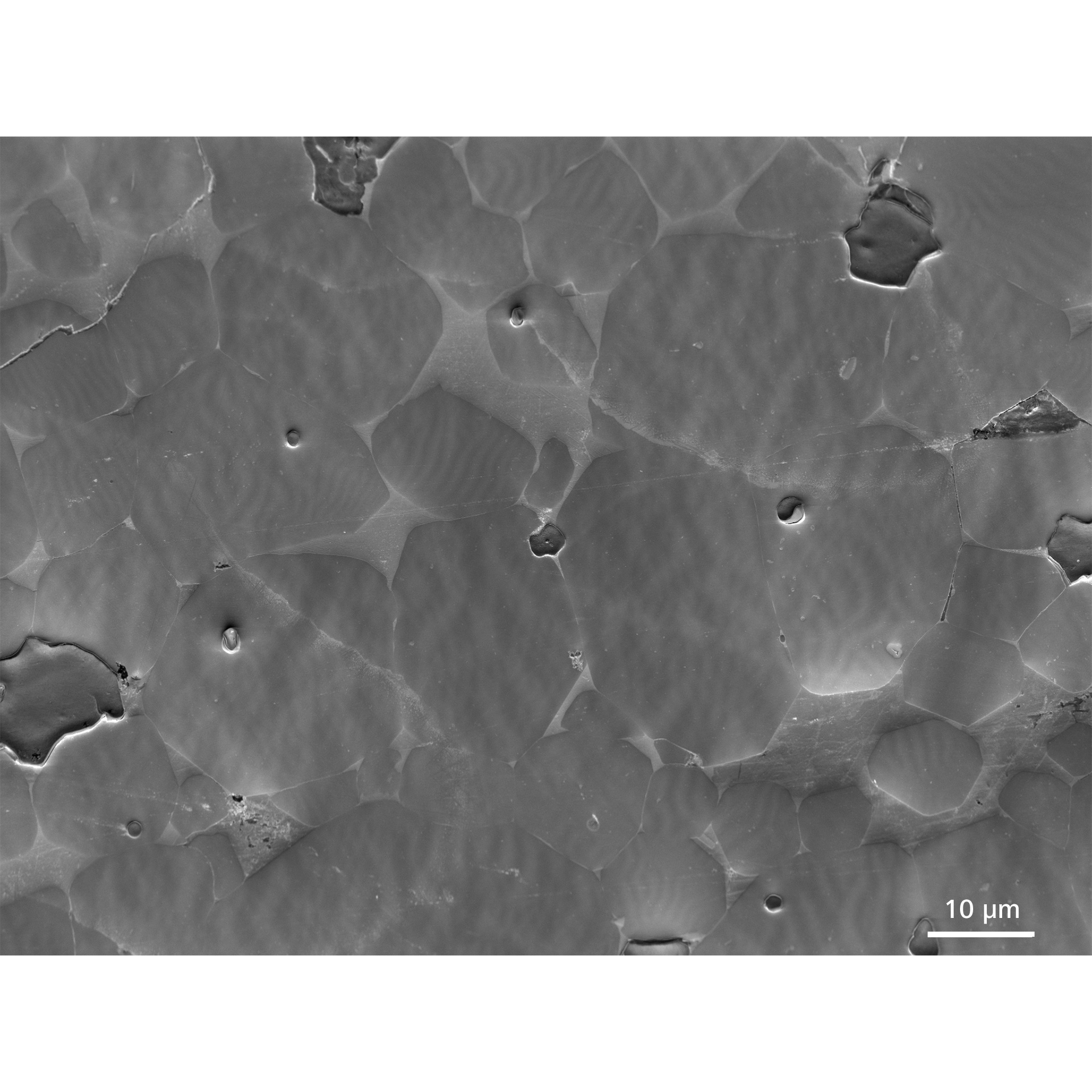 Optimaler Arbeitspunkt: Magnetischer Kontrast auf einem NdFeB-Magneten 