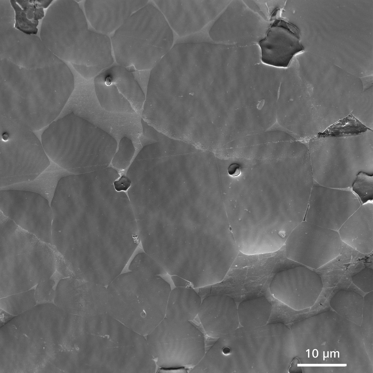 A sweet spot: Magnetic contrast on a NdFeB magnet