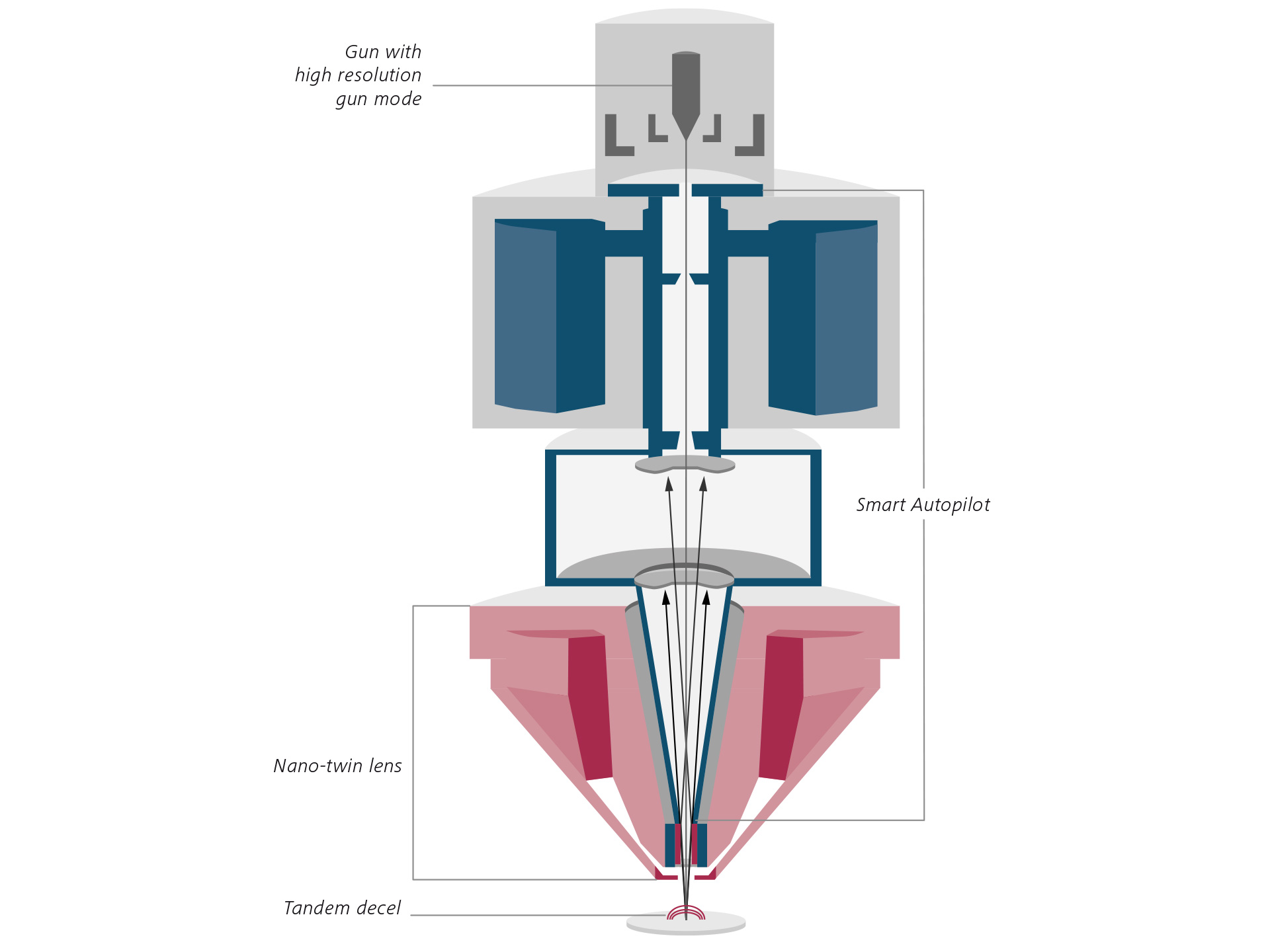 Conception optique novatrice de la colonne Gemini 3. Coupe transversale schématique de GeminiSEM 560. Lentille Nano-twin (rouge), Smart Autopilot (bleu). 