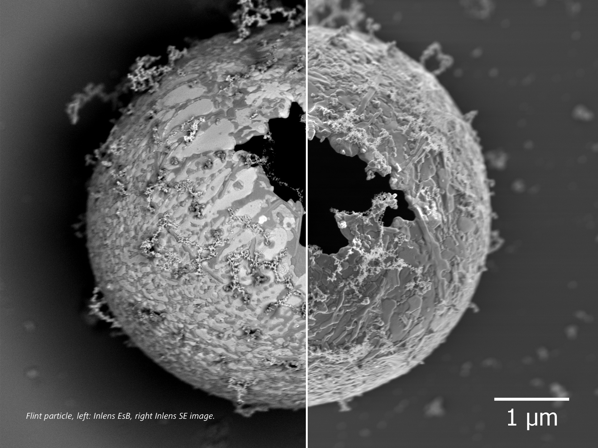 亜鉛粒子のInlens EsB画像（左）、Inlens SE画像（右）。 