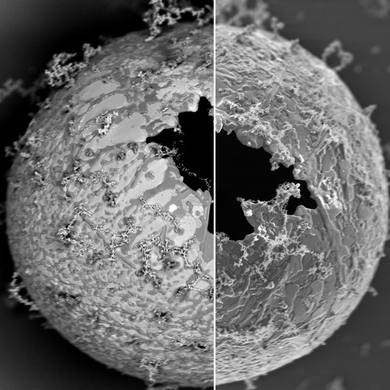 亜鉛粒子のInlens EsB画像（左）、Inlens SE画像（右）。