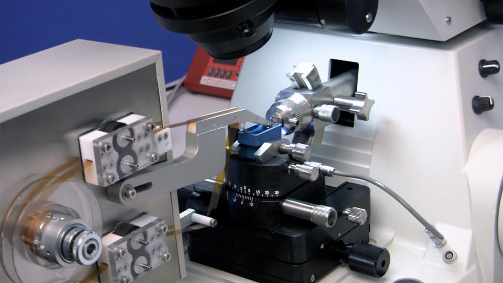 ZEISS MultiSEM：世界最速の走査型電子顕微鏡