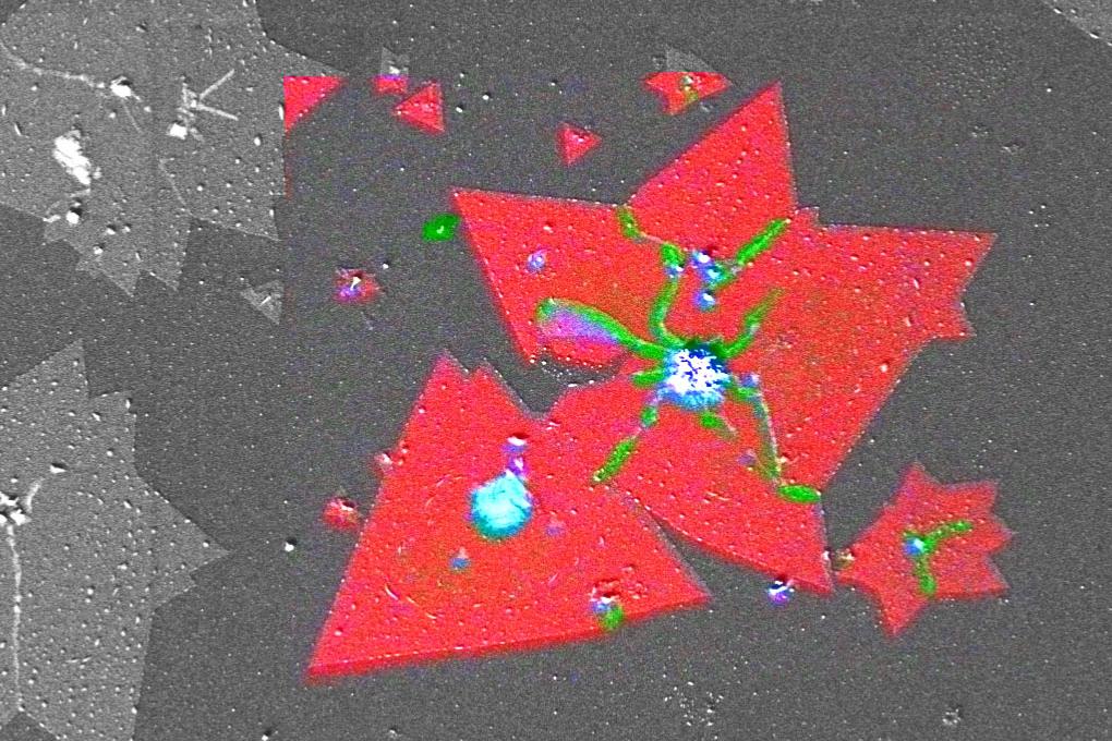 MoS₂-2D‑Kristalle, hergestellt mittels chemischer Gasphasenabscheidung (CVD) in Si/SiO2-Substrat: Das RISE-Abbild zeigt Knicke und überlappende Bereiche der MoS₂‑Kristalle (grün), Multischichten (blau) und Monoschichten (rot); Bildbreite: 32 µm.