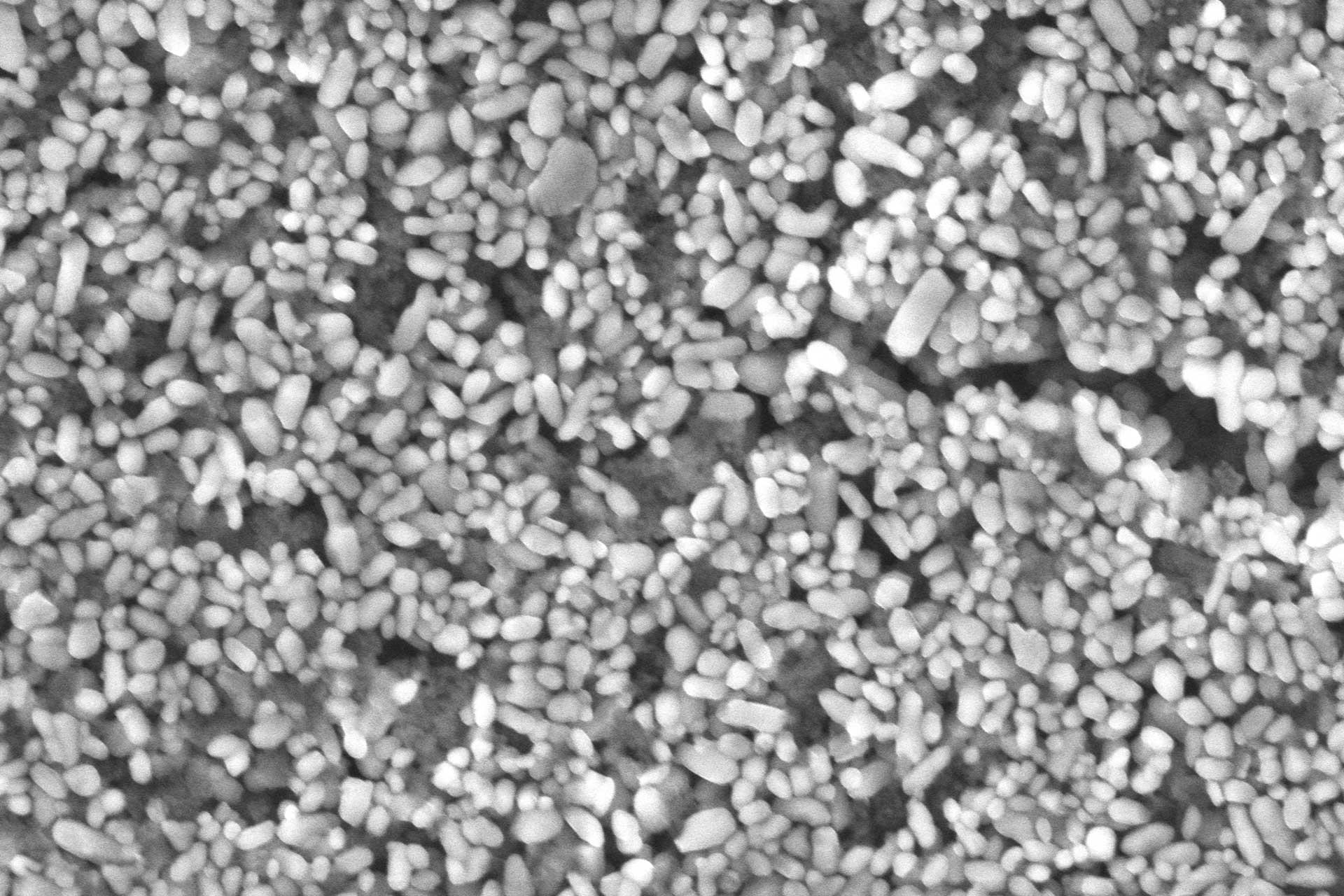 Non-conductive titanium dioxide nanoparticles used as pigments and opacifying agents can be imaged easily at 40 Pa in VP mode with the C2D.