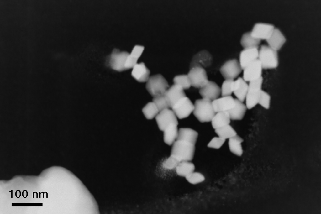 SIGMA - sem様 ZEISS Sigma Family - Field Emission SEM