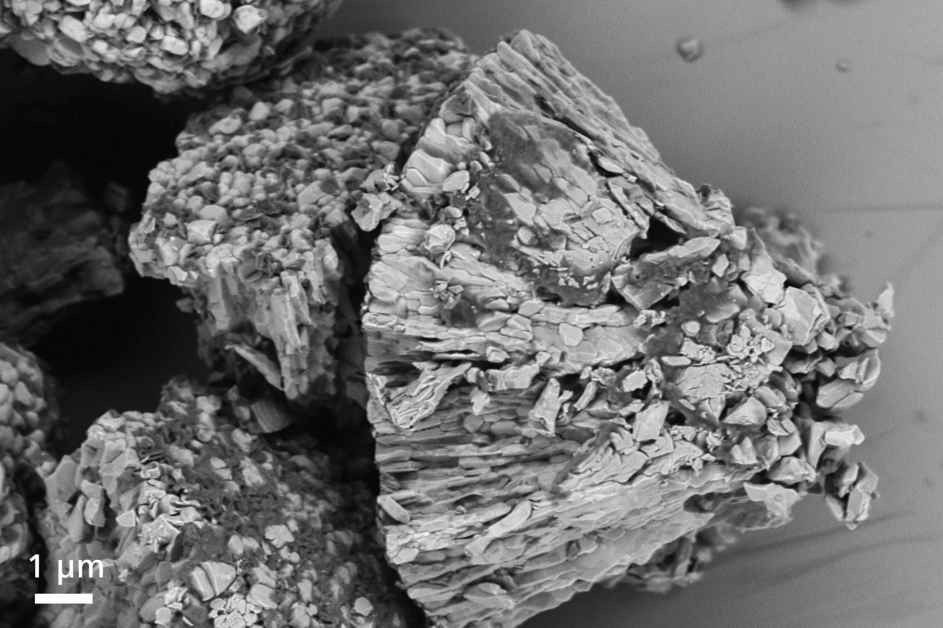 The surface of a particle from a cathode foil of a battery. 