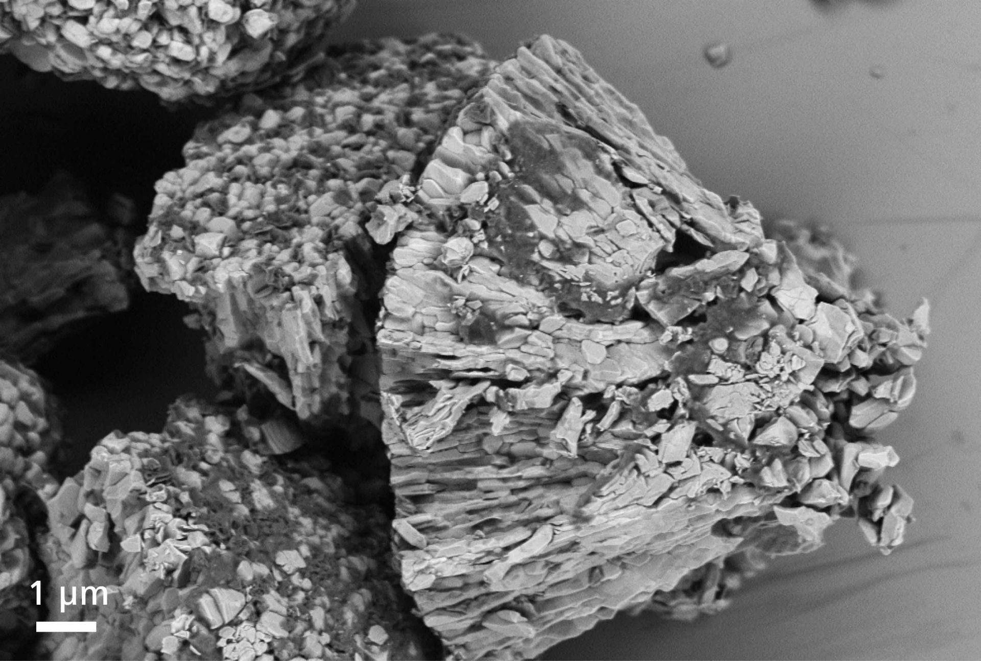 The surface of a particle from a cathode foil of a battery. 