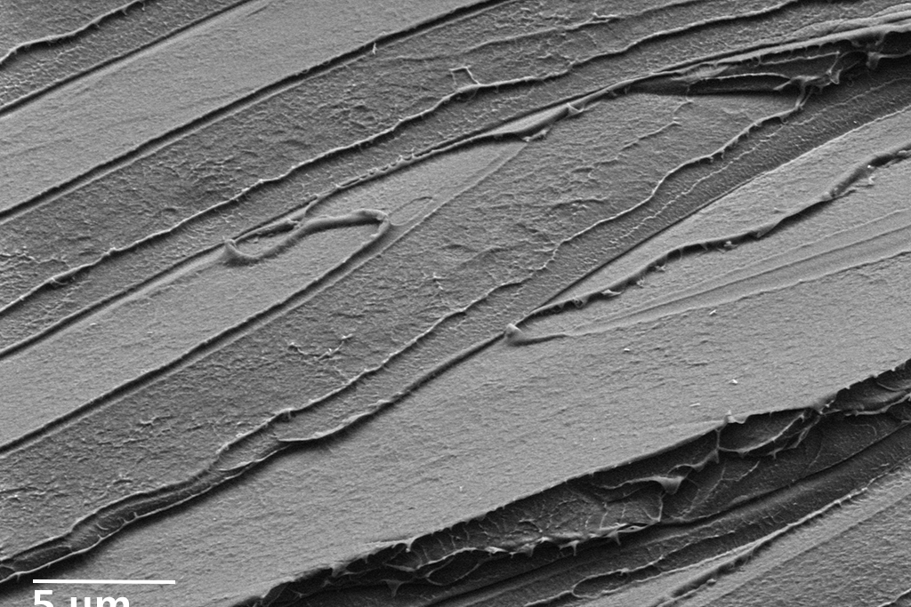 La surface d'un échantillon de polystyrène a été fracturée pour comprendre la formation de fissures et l'adhérence aux interfaces dans les polymères