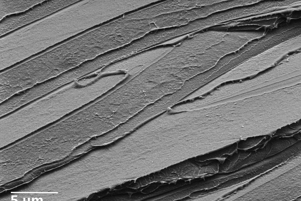 Die Oberfläche einer Polystyrolprobe wurde gebrochen, um die Rissbildung und die Adhäsion an Polymergrenzflächen nachzuvollziehen