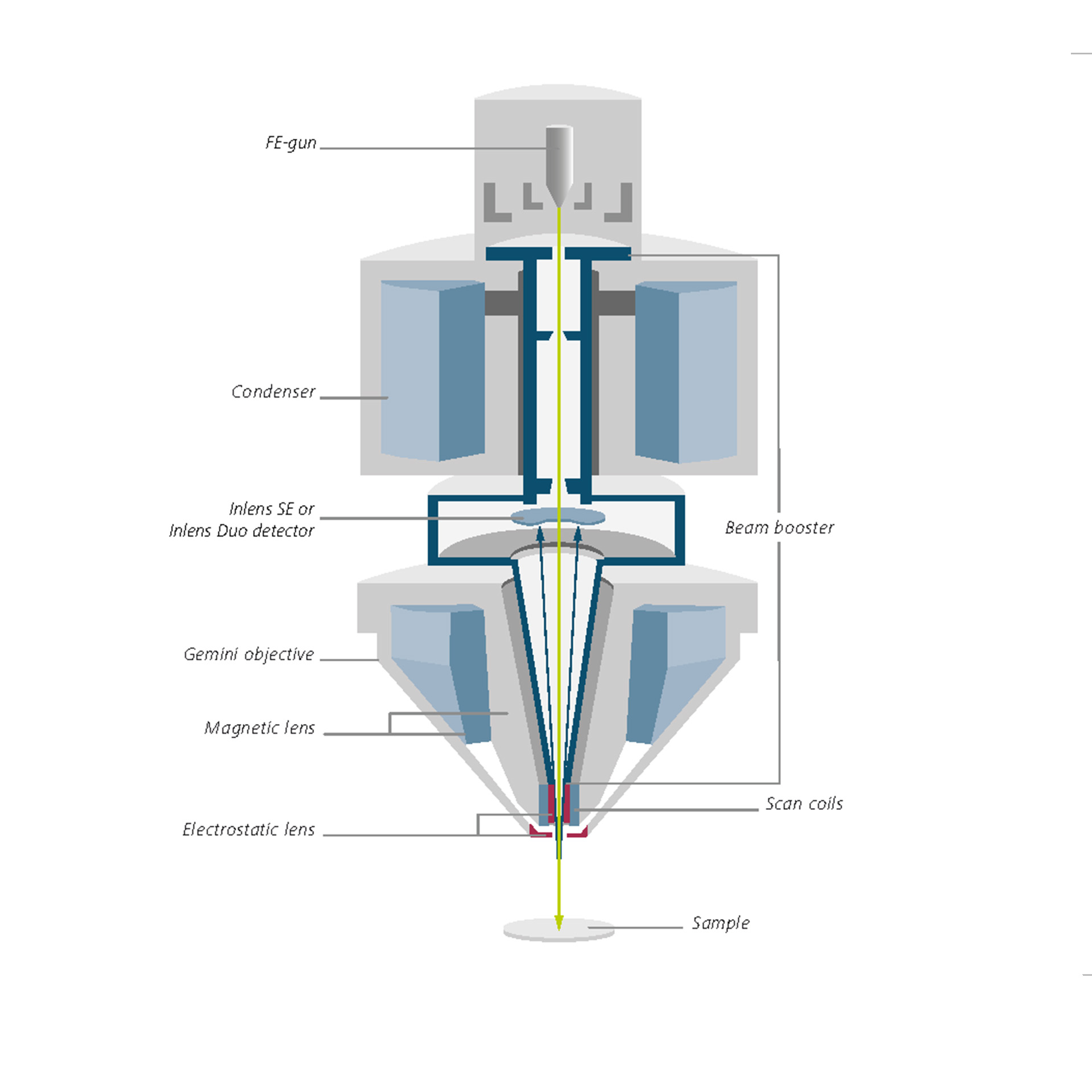 Gemini光学镜筒截面示意图，包含电子束推进器、Inlens探测器和Gemini物镜。 