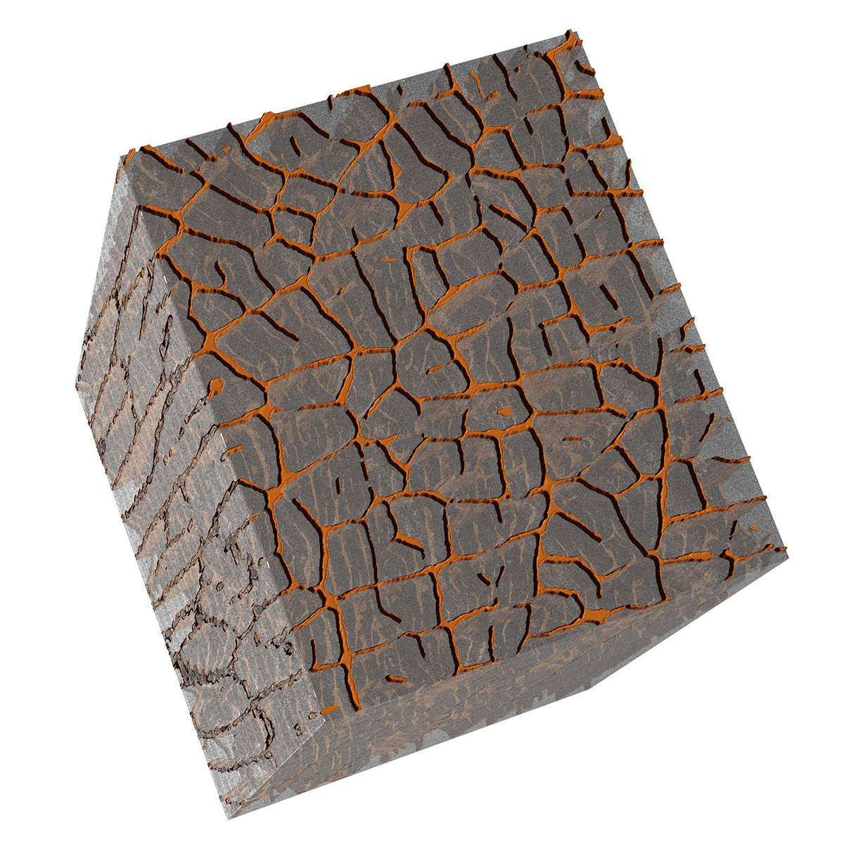 3D ultrastructure of a mouse skeletal muscle prepared according to the Hua sample preparation protocol (Hua et al., 2015, Nat. Comm). Sample courtesy of the Experimental Neurology Unit, University of Milano-Bicocca, Monza, Italy