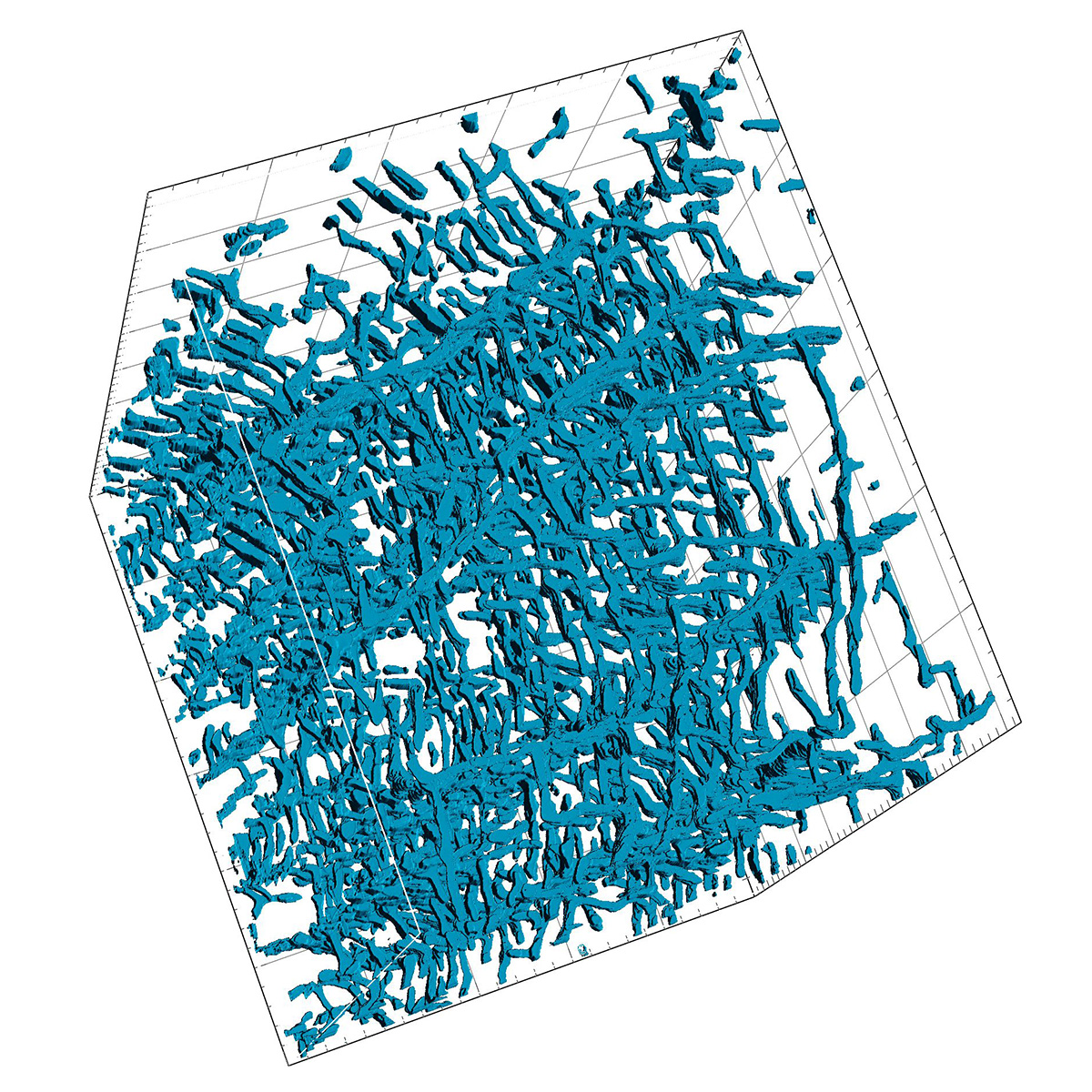 Ultrastructure 3D d'un muscle squelettique de souris préparé selon le protocole de préparation des échantillons de Hua (Hua et al., 2015, Nat. Comm). Avec l'aimable autorisation de l'Unité de neurologie expérimentale, Université de Milano-Bicocca, Monza, Italie.