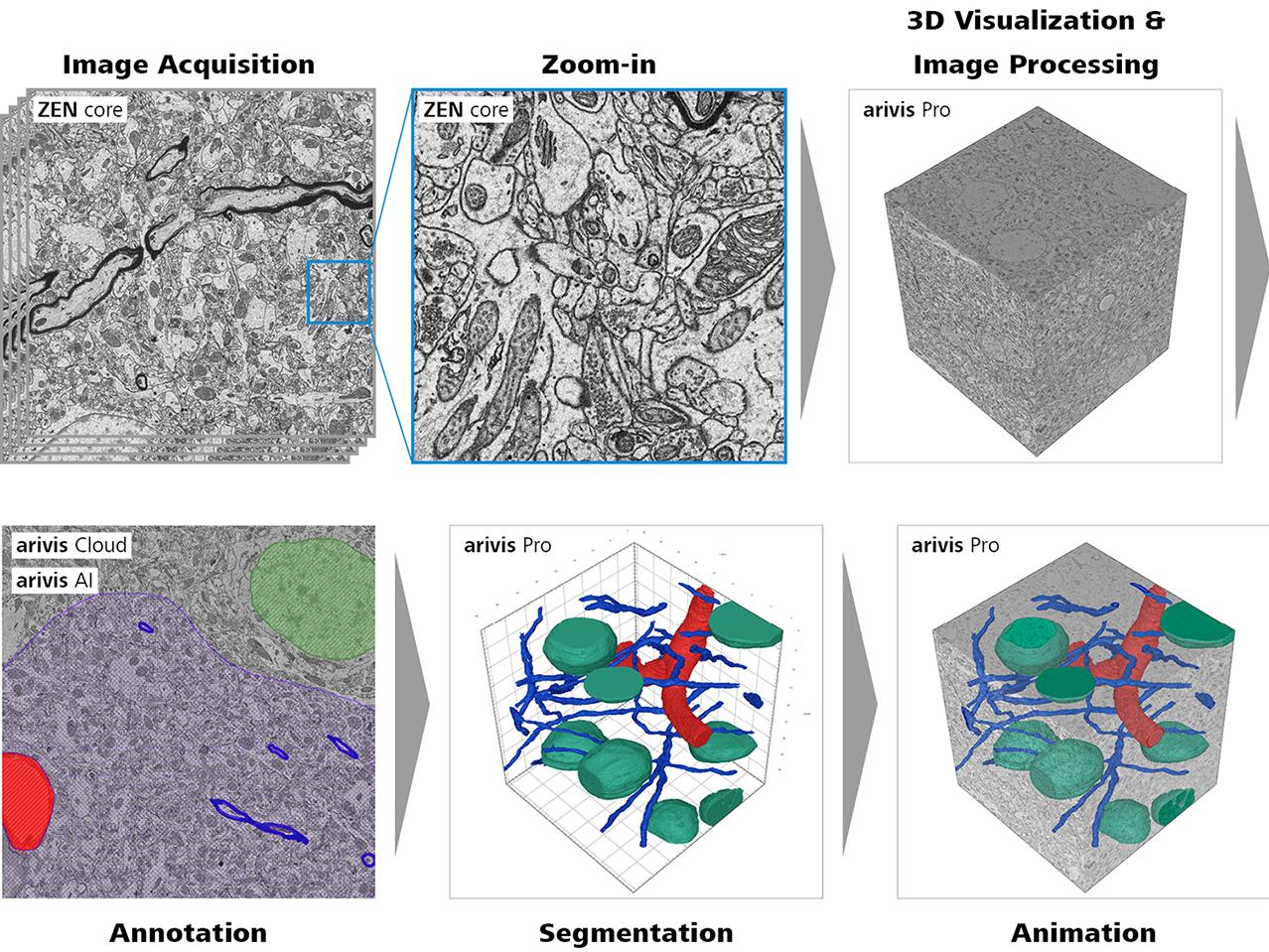 From Image Acquisition to 3D Results