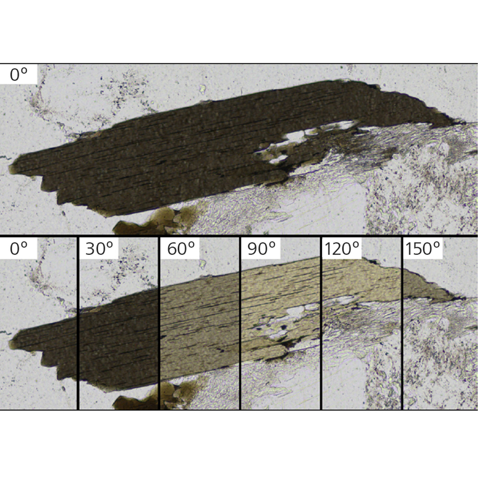 花崗岩中の黒雲母粒子のクローズアップ画像。偏光子に対して180°試料を回転させて全範囲の多色性を観察するために、複数の配向のPPLで試料をイメージング。 