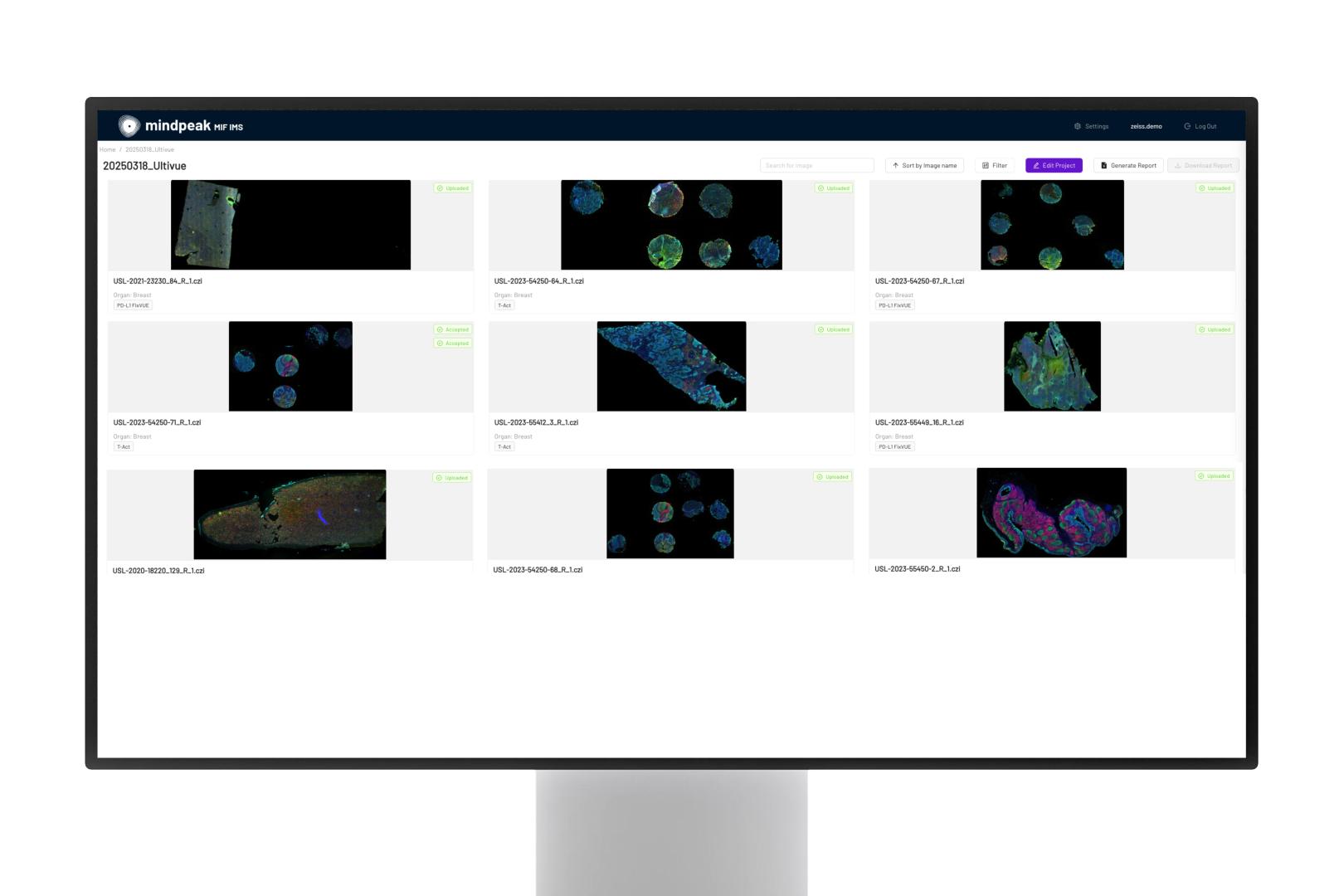 project overview