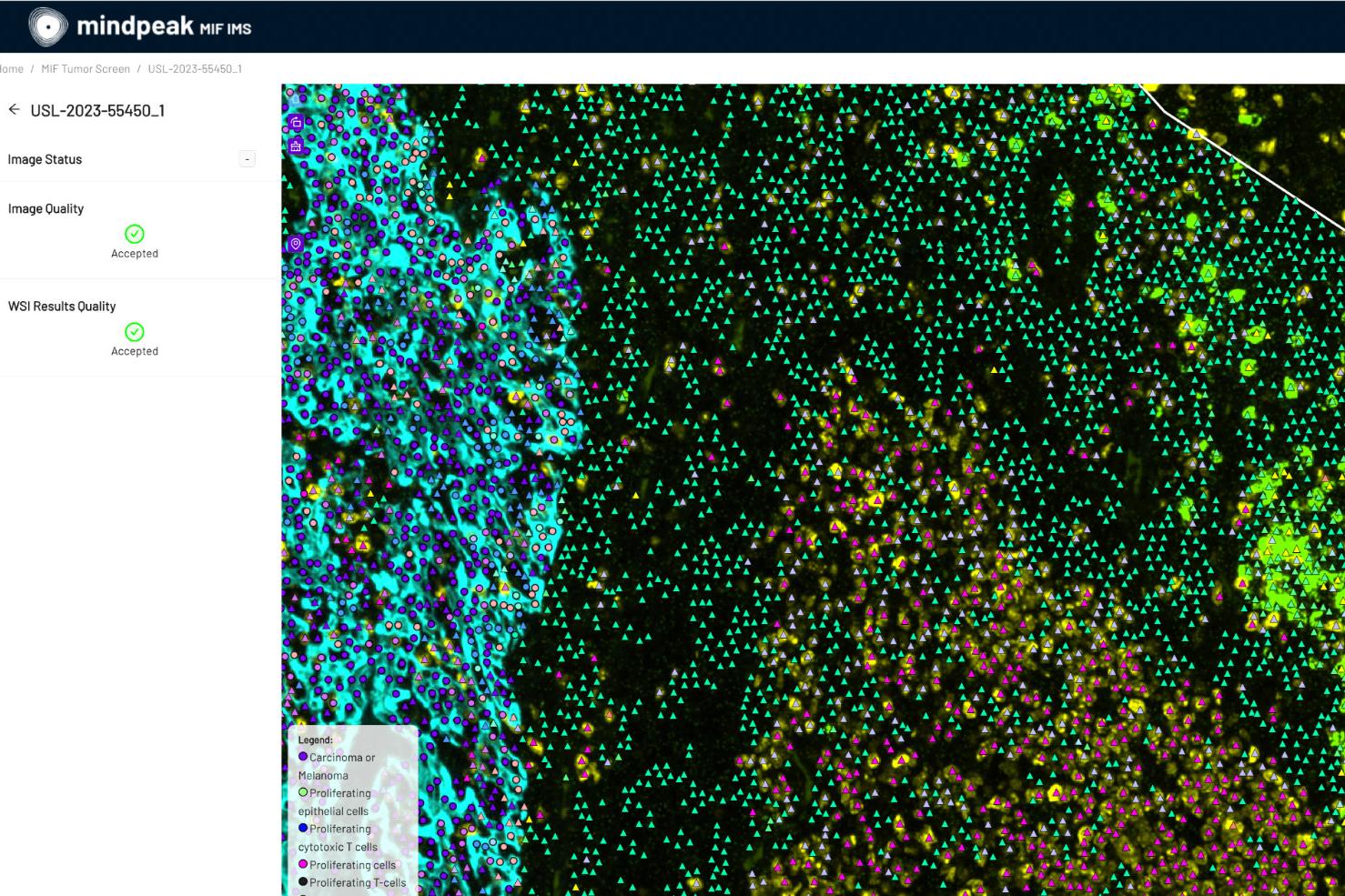phenotypes zoom in