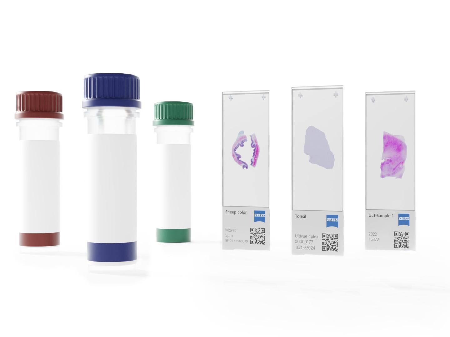Fluorescently labeled antibody reagents used for staining samples
