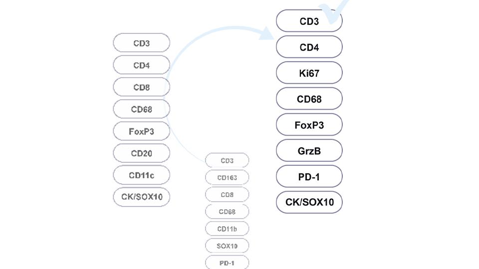 Accelerated, Flexible Data Creation