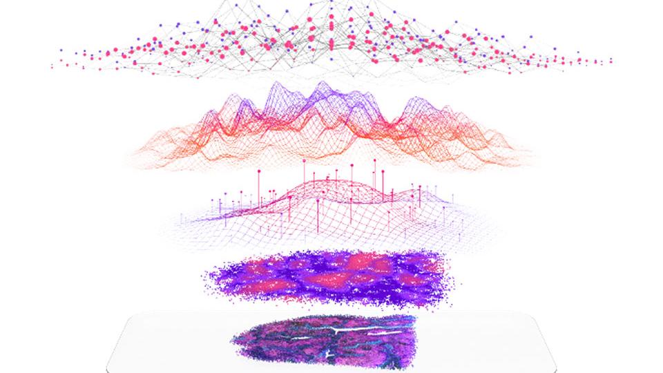 More Robust, AI-Driven Insights