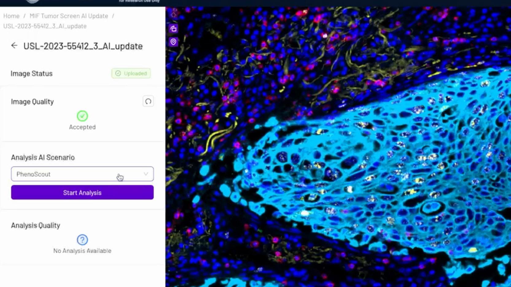 Image QC and AI triggering Workflow