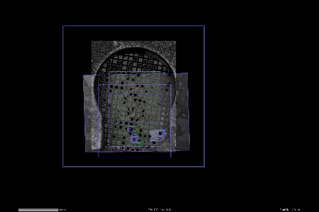 高分辨率LSM/Airyscan图像与低温环境下采集到的高衬度Crossbeam图像的叠加。叠加通过ZEN Connect完成。