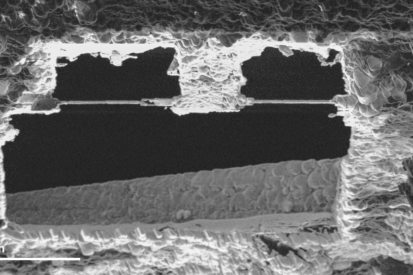 Imagen de FIB de la laminilla preparada; grosor de la laminilla: 230 nm