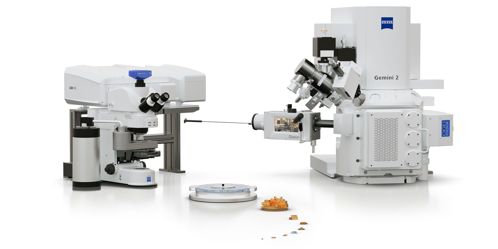 Microscopie cryogénique à champ large et microscopie confocale combinées à l'imagerie volumique par MEB cryogénique et à la préparation de lamelles par MET