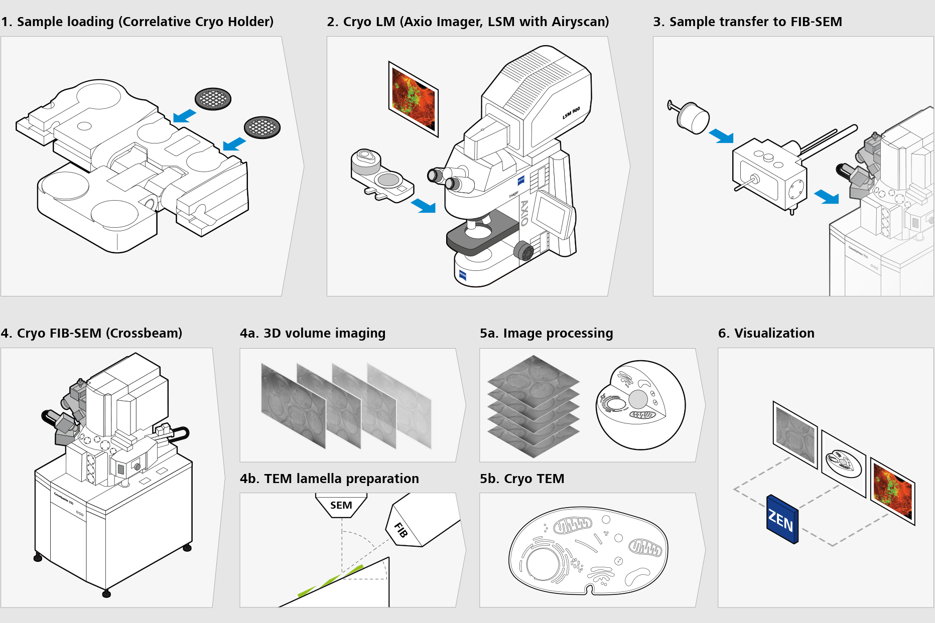 Correlative cryo-workflow