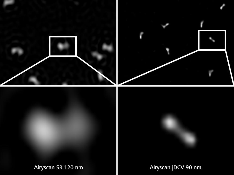 GATTA SIM nanoruler imaged with Airyscan SR (GATTA-SIM 120B, left) and Airyscan jDCV (GATTA-SIM 90B, right).