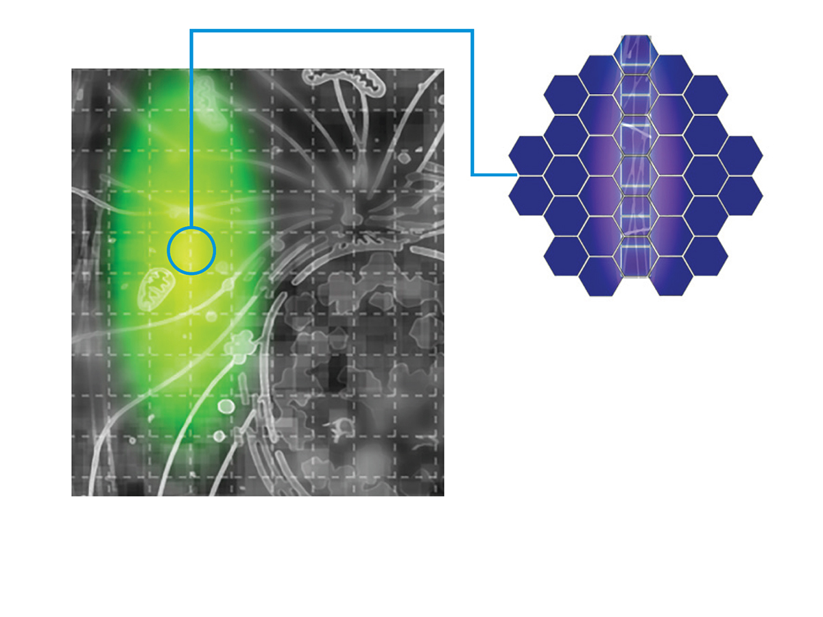 Illustration. For Airyscan Multiplex SR-8Y and CO-8Y, the illumination laser spot is vertically elongated to capture 8 image pixels for each illumination position