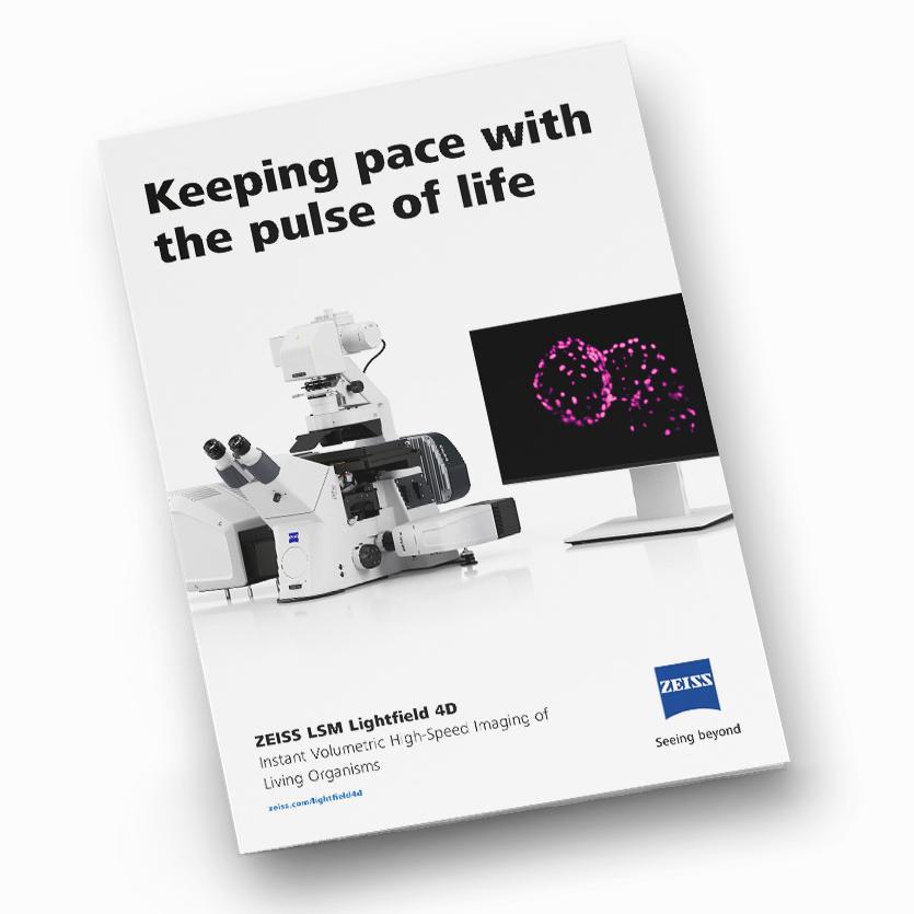 image de la brochure LSM Lightfield 4D