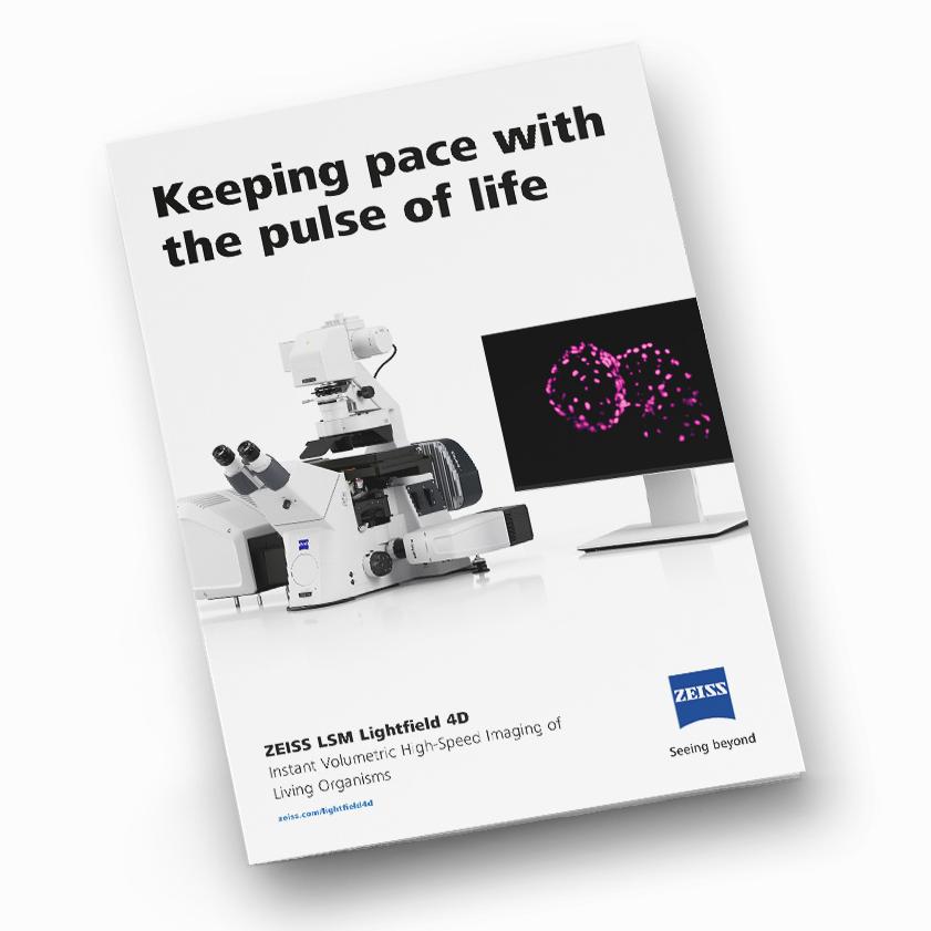 image of LSM Lightfield 4D product flyer