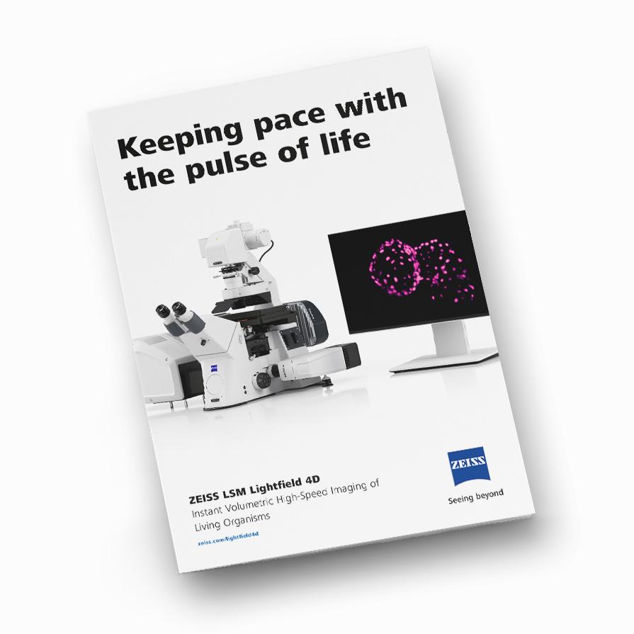 image of LSM Lightfield 4D product flyer
