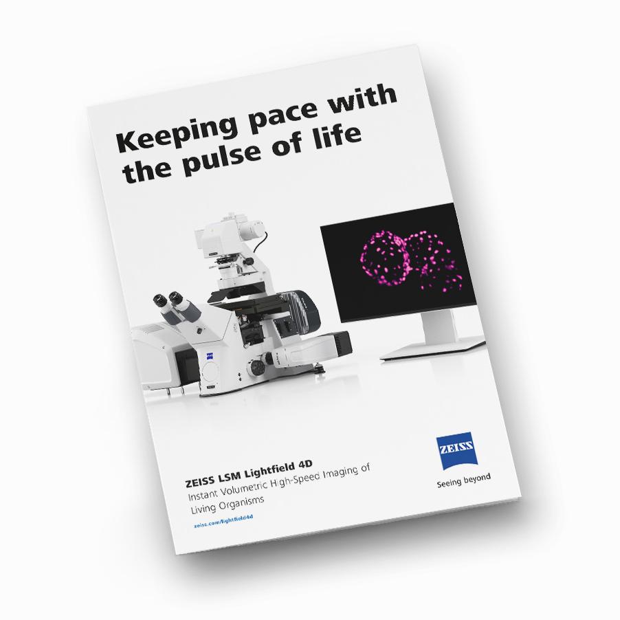 image of LSM Lightfield 4D product flyer