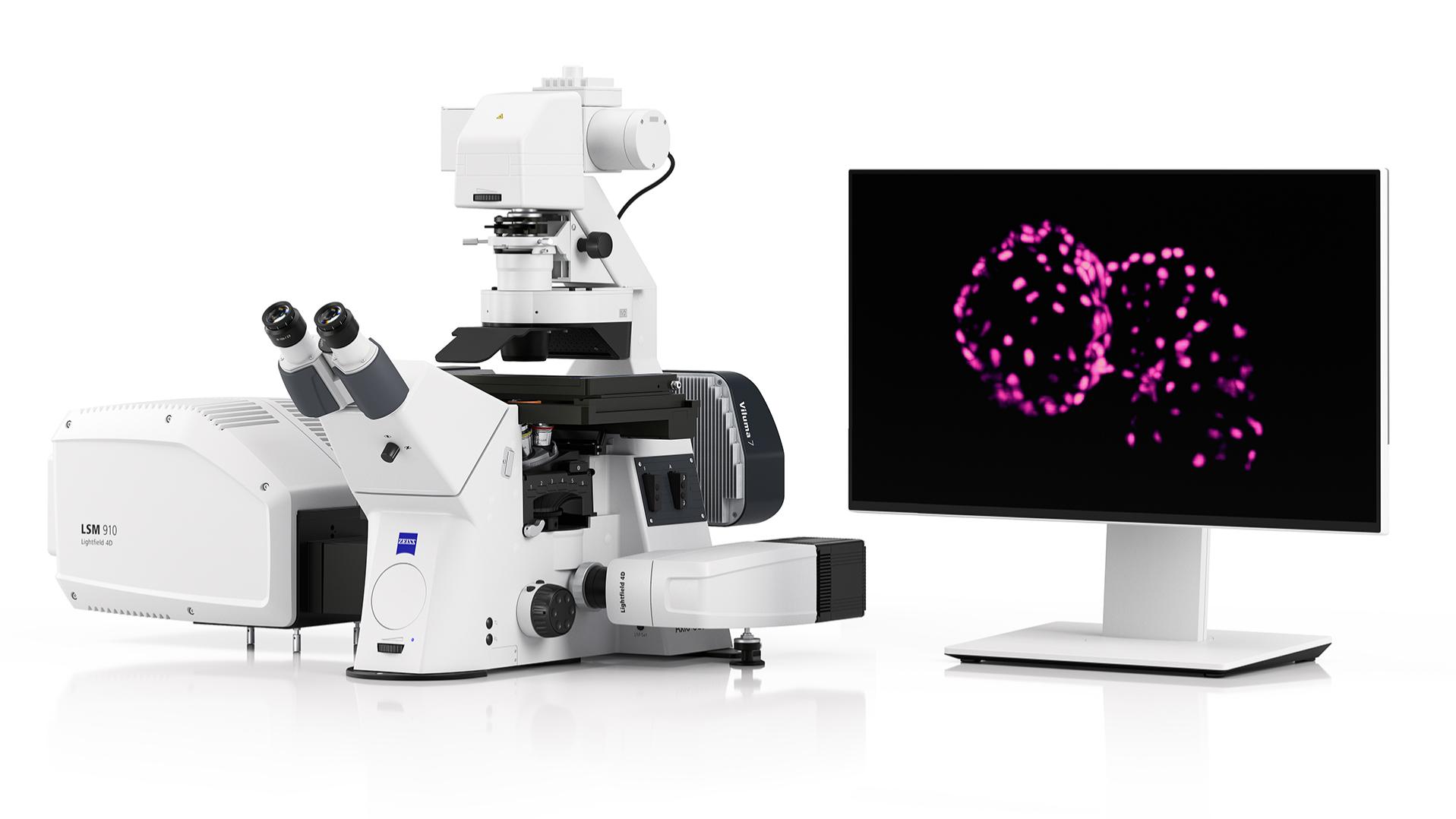 ZEISS LSM Lightfield 4D