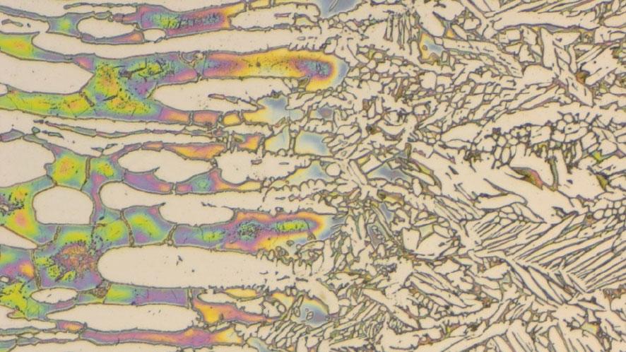 二相ステンレス鋼の溶接部近傍のオーステナイトおよびフェライト結晶粒サイズのばらつき。