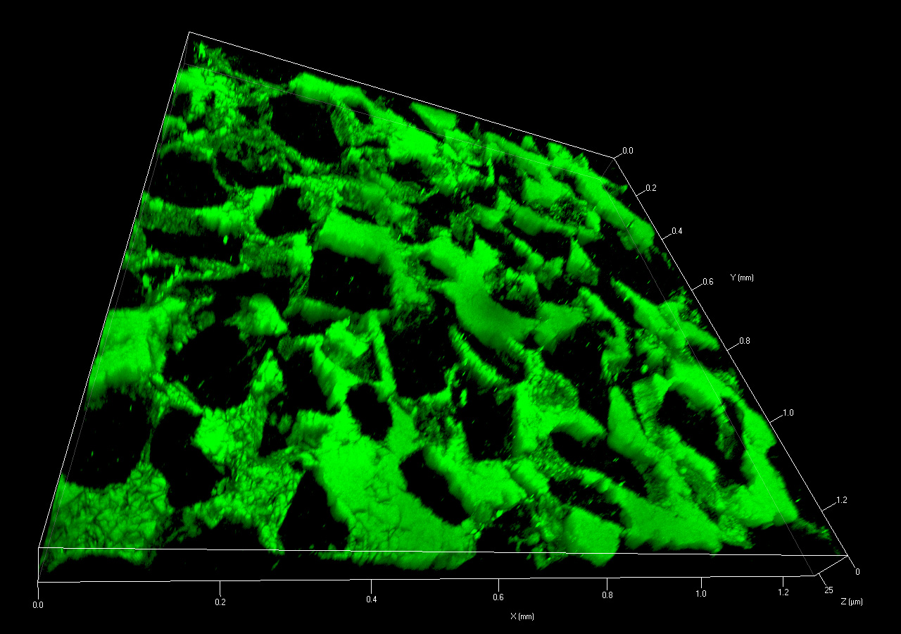 Untersuchung der Porosität von Sandstein. 3D-Darstellung von Fluoreszenzfarbstoffen, berührungslose Oberflächenmessung, 4×4-Kachelbild.