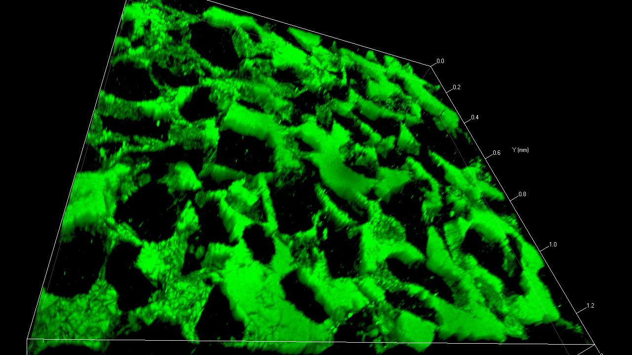 砂岩空隙率試験。蛍光色素の3Dモデル、非接触表面測定、4 x 4のタイル画像。