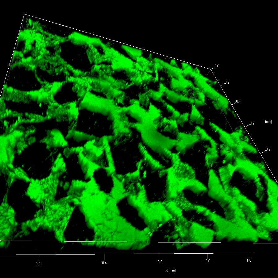 Untersuchung der Porosität von Sandstein. 3D-Darstellung von Fluoreszenzfarbstoffen, berührungslose Oberflächenmessung, 4×4-Kachelbild.