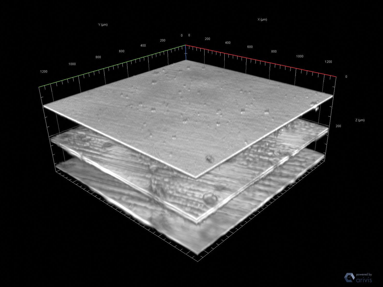 Mehrschichtiges System, zwei Schichten eines zusammengesetzten Polymerverbunds.​