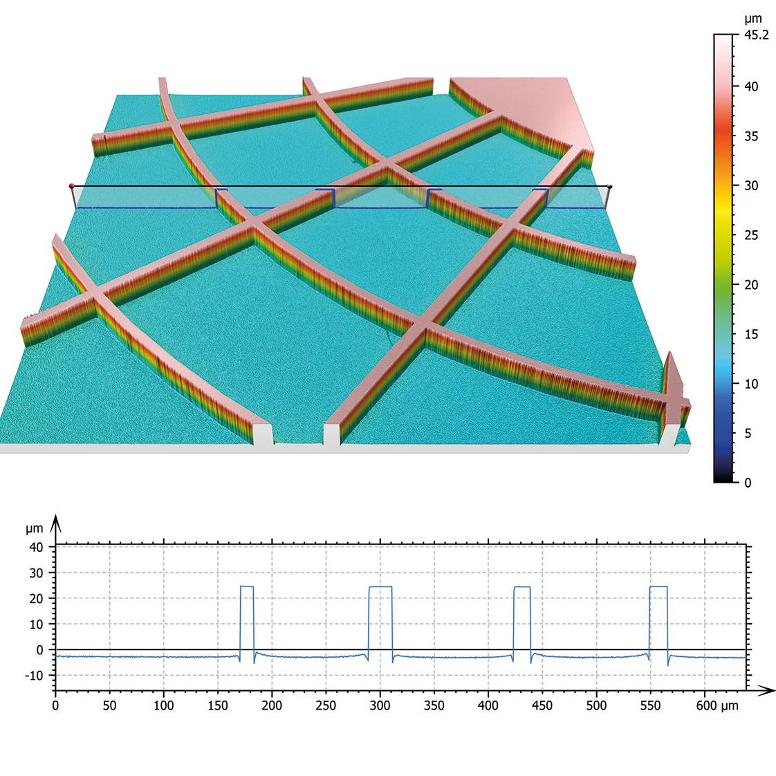 Sample imaged with C Epiplan-APOCHROMAT objective, 3D-view with extracted profile line